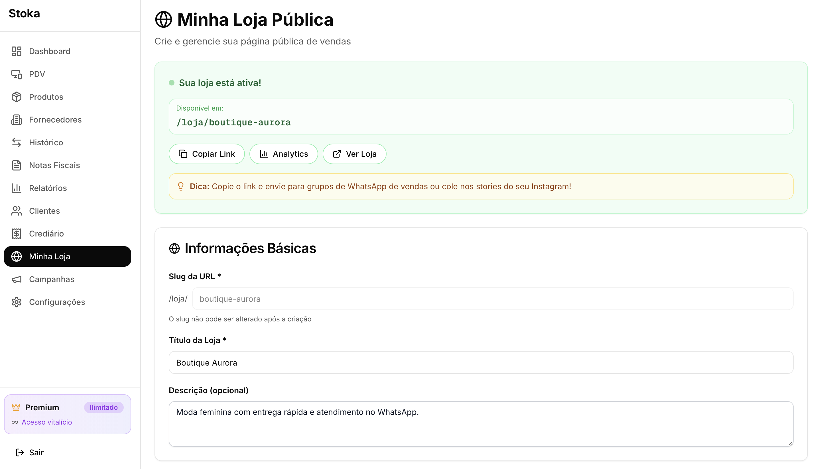 Minha Loja no Stoka: loja ativa, link público e personalização